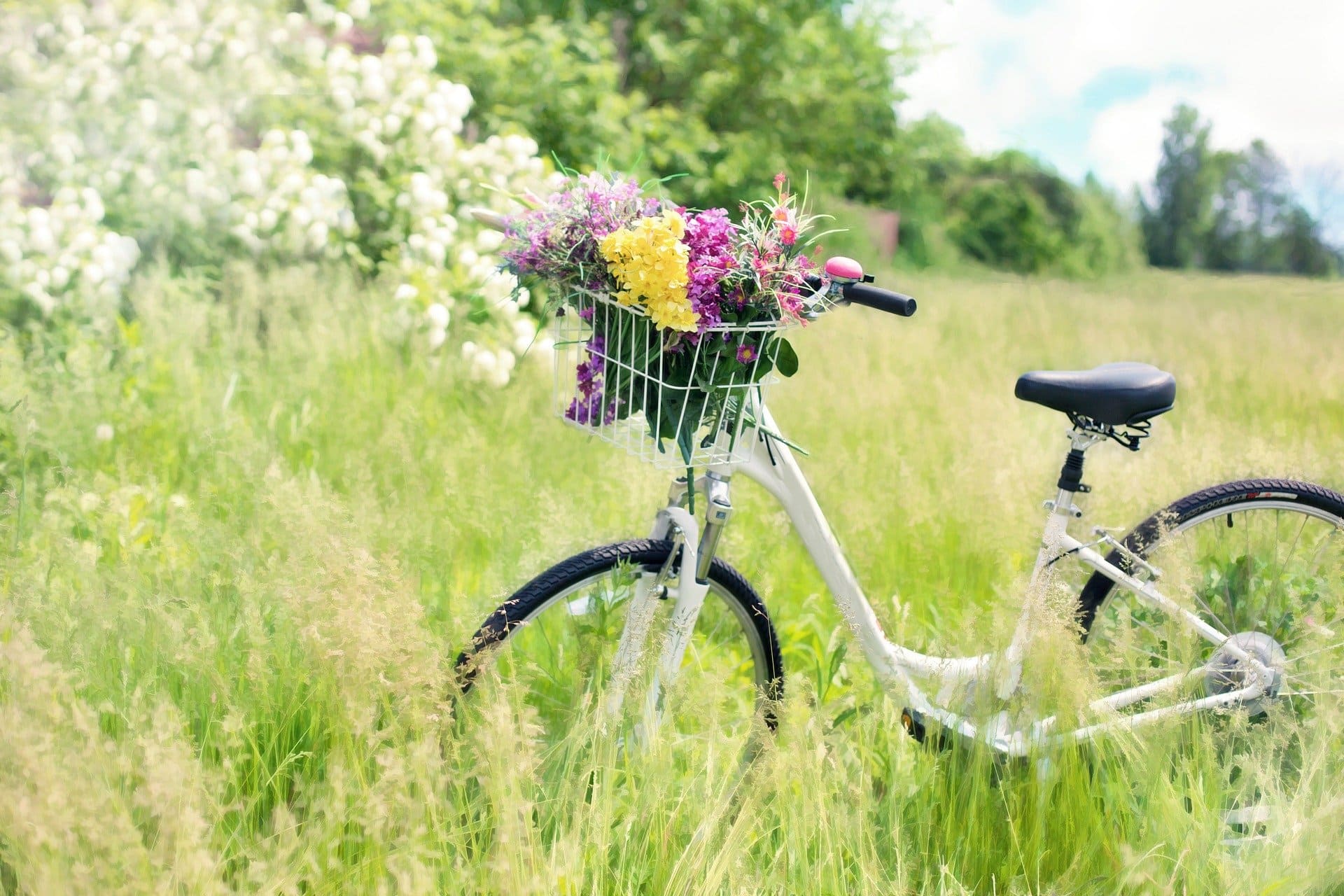 vélo ambiance champêtre, en connaitre un rayon, multipotentialité versus expertise
