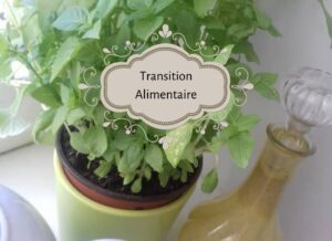 basilic frais et sa sauce verte pour salade, transition alimentaire
